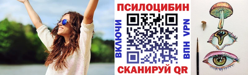 Псилоцибиновые грибы Magic Shrooms  Купить закладки  Шебекино 